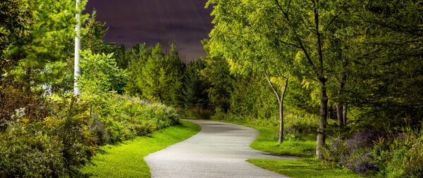 Camino de parque con luz cálida y árboles al fondo